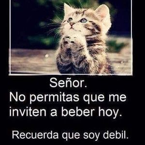 Meet your Posher, Armando